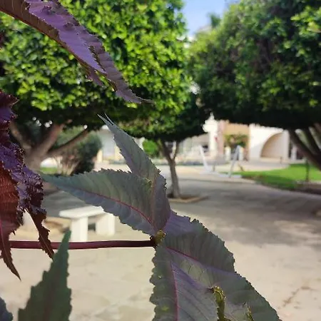 Appartamento Fantastic 4 Cyprus First Line Beachfront Boghaz