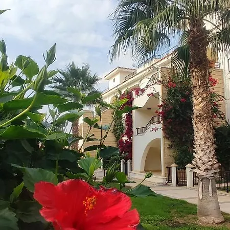 Fantastic 4 Cyprus First Line Beachfront Boghaz