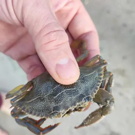 Appartamento Fantastic 4 Cyprus First Line Beachfront