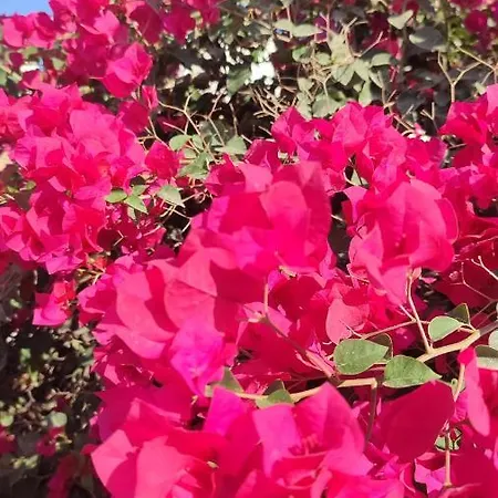 Appartamento Fantastic 4 Cyprus First Line Beachfront