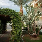Fantastic 4 Cyprus First Line Beachfront Apartment