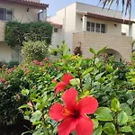 Fantastic 4 Cyprus First Line Beachfront * Boghaz