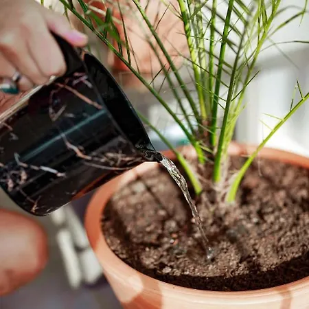 דירה Fantastic 4 Cyprus First Line Beachfront *