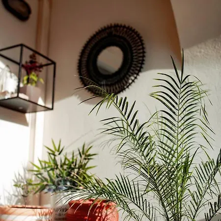 Fantastic 4 Cyprus First Line Beachfront דירה Boghaz