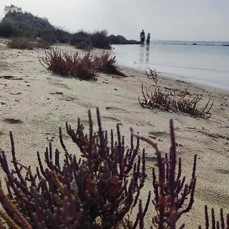 Fantastic 4 Cyprus First Line Beachfront