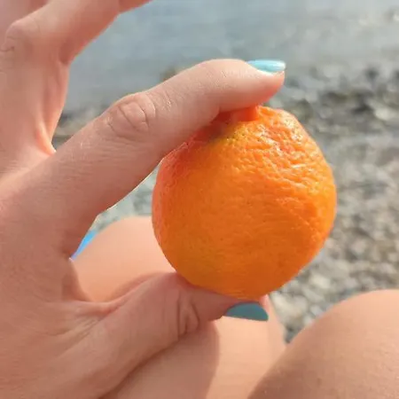 Fantastic 4 Cyprus First Line Beachfront * Boghaz