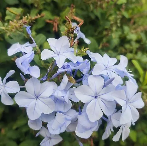 Fantastic 4 Cyprus First Line Beachfront Apartment Boghaz