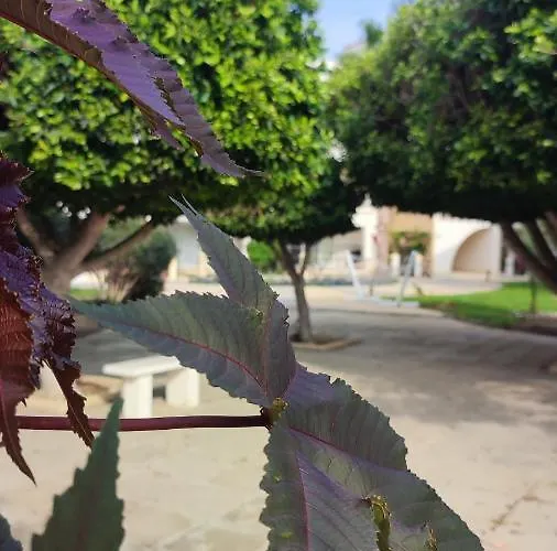 Apartment Fantastic 4 Cyprus First Line Beachfront Boghaz