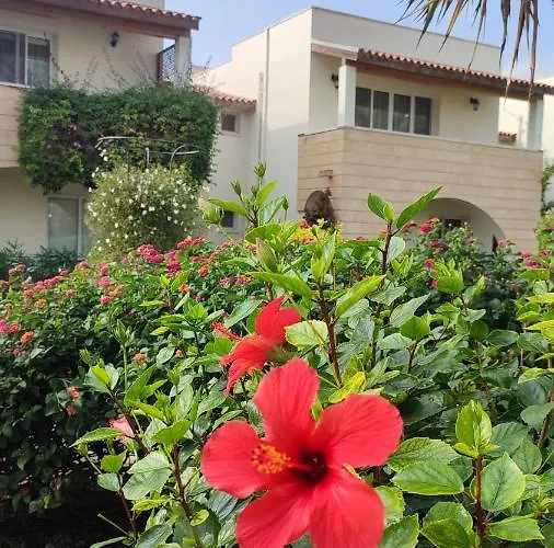 Fantastic 4 Cyprus First Line Beachfront * Boghaz